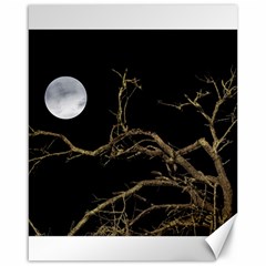 Nature Dark Scene Canvas 16  X 20   by dflcprints