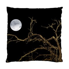 Nature Dark Scene Standard Cushion Case (one Side) by dflcprints