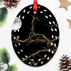 Nature Dark Scene Ornament (oval Filigree) 