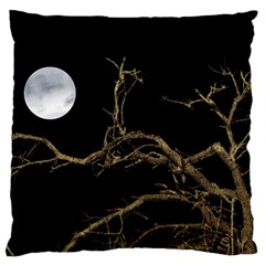 Nature Dark Scene Standard Flano Cushion Case (one Side) by dflcprints