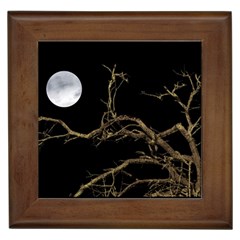 Nature Dark Scene Framed Tiles