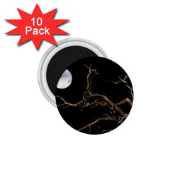 Nature Dark Scene 1 75  Magnets (10 Pack) 