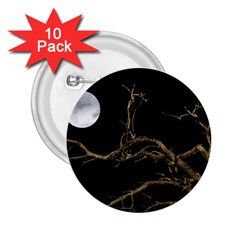 Nature Dark Scene 2 25  Buttons (10 Pack) 