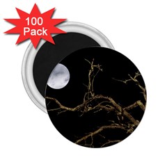 Nature Dark Scene 2 25  Magnets (100 Pack)  by dflcprints