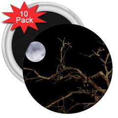 Nature Dark Scene 3  Magnets (10 Pack)  by dflcprints