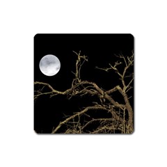 Nature Dark Scene Square Magnet