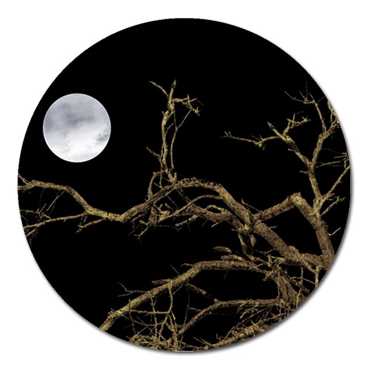 Nature Dark Scene Magnet 5  (Round)