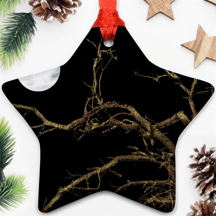 Nature Dark Scene Star Ornament (Two Sides) 