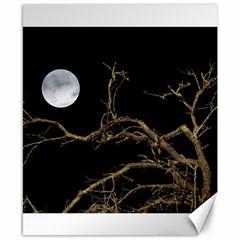 Nature Dark Scene Canvas 8  X 10 