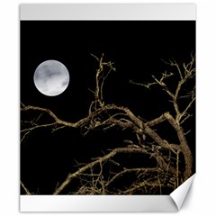 Nature Dark Scene Canvas 20  X 24   by dflcprints