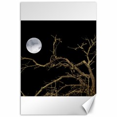 Nature Dark Scene Canvas 24  X 36  by dflcprints