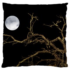 Nature Dark Scene Large Cushion Case (two Sides) by dflcprints