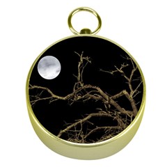 Nature Dark Scene Gold Compasses