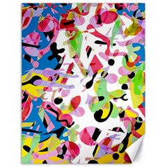 Colorful Pother Canvas 18  X 24  