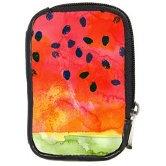 Abstract Watermelon Compact Camera Cases by DanaeStudio