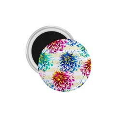 Colorful Dahlias 1 75  Magnets by DanaeStudio