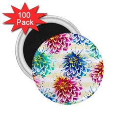 Colorful Dahlias 2 25  Magnets (100 Pack) 