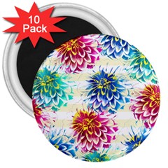 Colorful Dahlias 3  Magnets (10 Pack)  by DanaeStudio