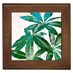 Pachira Leaves  Framed Tiles by DanaeStudio