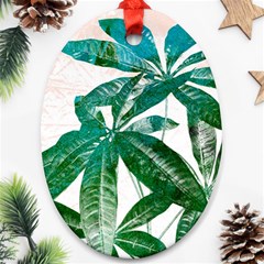 Pachira Leaves  Ornament (oval)  by DanaeStudio