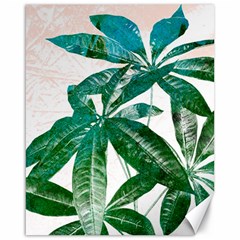 Pachira Leaves  Canvas 16  X 20   by DanaeStudio