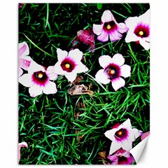 Pink Flowers Over A Green Grass Canvas 11  X 14   by DanaeStudio