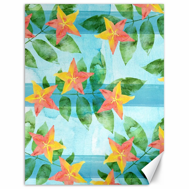 Tropical Starfruit Pattern Canvas 12  x 16  