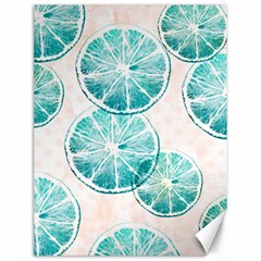 Turquoise Citrus And Dots Canvas 12  X 16   by DanaeStudio