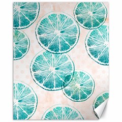 Turquoise Citrus And Dots Canvas 11  X 14   by DanaeStudio