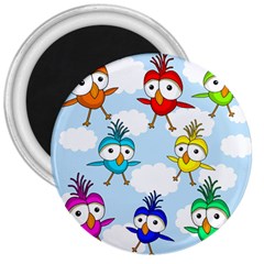 Cute colorful birds  3  Magnets