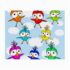 Cute colorful birds  Small Glasses Cloth