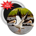 White Pelicans 3  Button Magnet (10 pack) Front