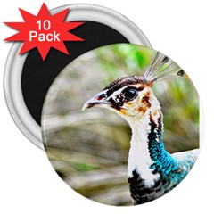 Peahen 3  Button Magnet (10 Pack) by MOOI