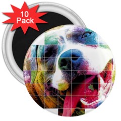 Layla Merch 3  Magnets (10 Pack)  by tigflea