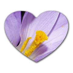 Purple Crocus Heart Mousepads by PhotoThisxyz