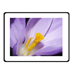 Pruple Crocus Double Sided Fleece Blanket (small)  by PhotoThisxyz