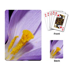 Crocus Closeupl Playing Card