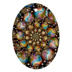 Marbled Spheres Spiral Oval Ornament (Two Sides) Back