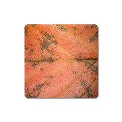 Red Leaf Texture Square Magnet by SamEarl13