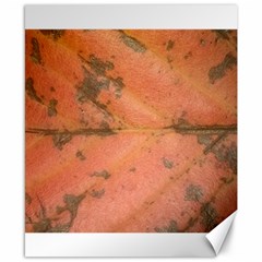 Red Leaf Texture Canvas 8  X 10 