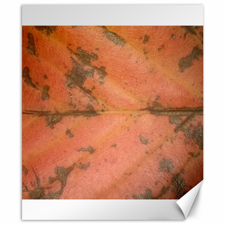 Red Leaf Texture Canvas 8  x 10 