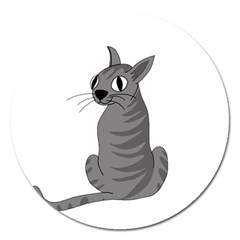 Gray cat Magnet 5  (Round)