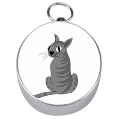 Gray Cat Silver Compasses by Valentinaart