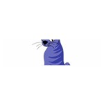 Blue cat Satin Scarf (Oblong) Front