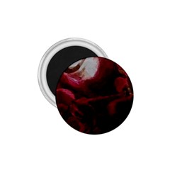 Dark Red Candlelight Candles 1 75  Magnets by yoursparklingshop