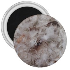 Down Comforter Feathers Goose Duck Feather Photography 3  Magnets by yoursparklingshop