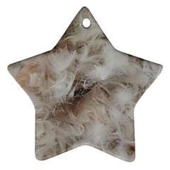 Down Comforter Feathers Goose Duck Feather Photography Ornament (star)  by yoursparklingshop