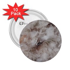 Down Comforter Feathers Goose Duck Feather Photography 2 25  Buttons (10 Pack)  by yoursparklingshop