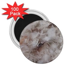 Down Comforter Feathers Goose Duck Feather Photography 2 25  Magnets (100 Pack)  by yoursparklingshop