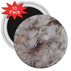 Down Comforter Feathers Goose Duck Feather Photography 3  Magnets (10 Pack)  by yoursparklingshop